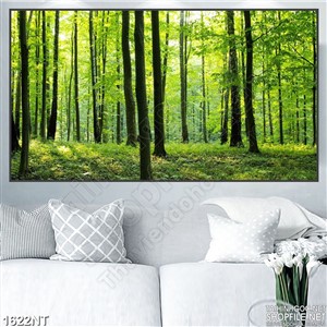 Tranh rừng thân cây 3d