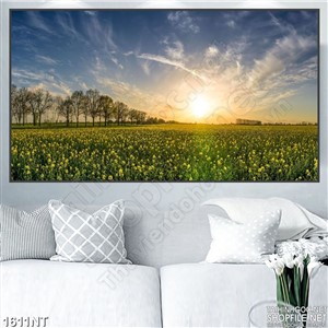 Tranh treo tường phòng khách