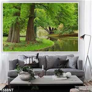 Tranh cây cổ thụ bên suối