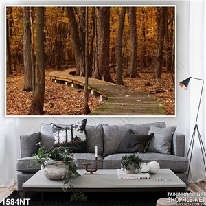 Tranh rừng cây gỗ