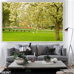 Tranh cây anh đào già 3d