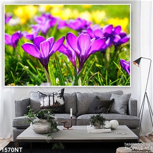 Tranh hoa tím đón ánh nắng