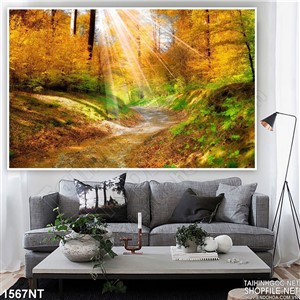 Tranh ánh nắng xuyên khu rừng