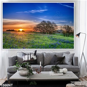 Tranh hoàng hôn trên đồng hoa