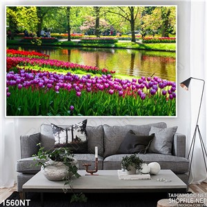 Tranh hoa tulip bên sông