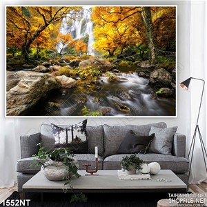 Tranh thác trời đổ trong rừng