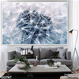 Tranh hoa bông gòn