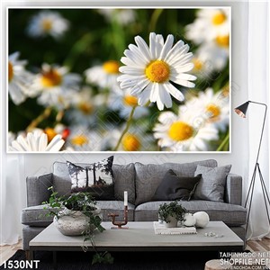 Tranh những bông hoa dại