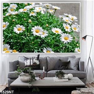 Tranh những bông hoa trắng