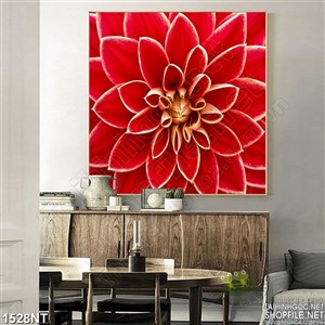 Tranh đóa sen đỏ