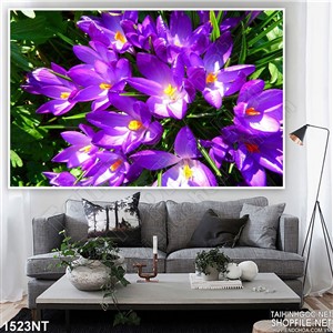 Tranh sắc tím khoe sắc