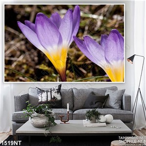 Tranh những cánh hoa tím