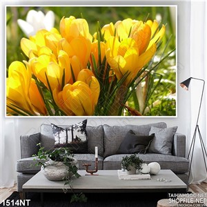 Tranh khóm hoa vàng