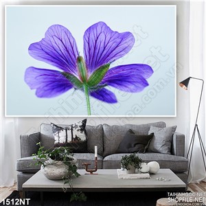 Tranh cánh hoa tím in uv