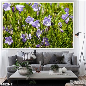 Tranh hoa phóa tím in uv