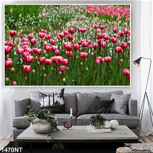 Tranh vườn hoa tulip