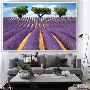 Tranh những hàng hoa tím