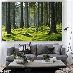 Tranh thân cây già