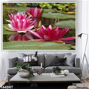 Tranh hồ hoa súng