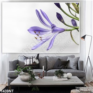 Tranh bông hoa tím nở rộ