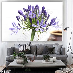 Tranh đóa hoa tím