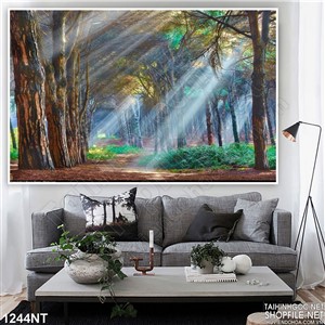 Tranh bình minh trên khu rừng