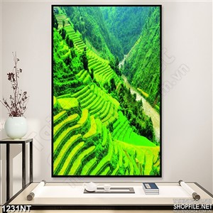 Tranh ruộng bậc thang