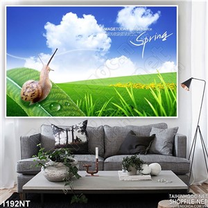 Tranh chuú ốc sên