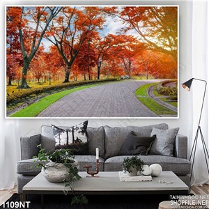 Tranh con đường rừng phong