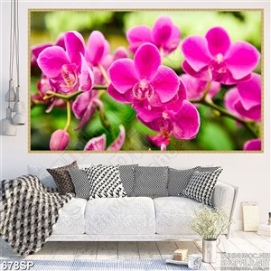 Tranh hoa lan hồng in wall