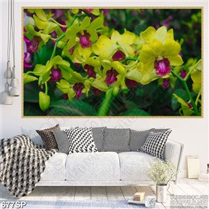 Tranh in hoa lan vàng mới nhất