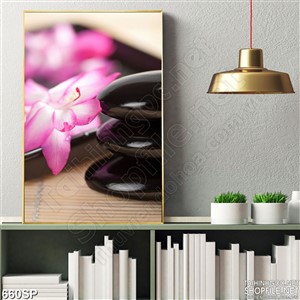 Tranh hoa và đá cuội spa
