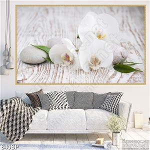 Tranh đẹp spa hoa lan trắng mới nhất