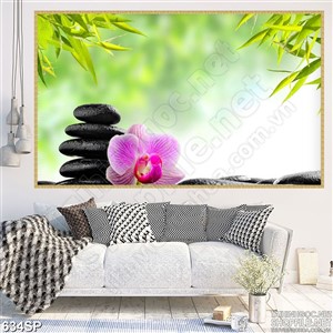 Tranh cảnh đẹp spa hoa lan