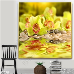 Tranh hoa lan vàng in spa