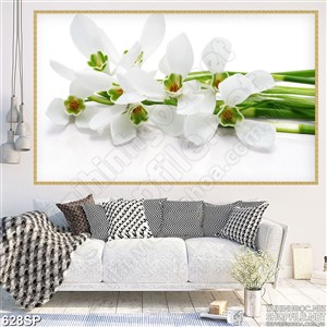 Tranh spa nhành hoa lan trắng