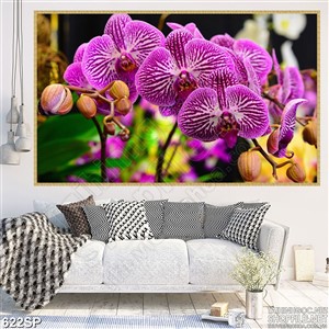 Tranh hoa lan hồng mới nhất