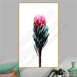 Tranh bông hoa đỏ phát sáng trên tường quán cà phê