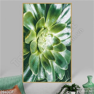 Tranh bông hoa sen đá treo tường quán cà phê in uv