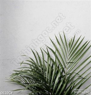 Tranh cây xanh bên gốc tường quán cà phê 3d