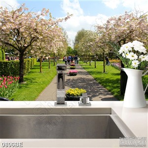 Tranh bếp con đường giữa hai hàng hoa anh đào