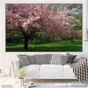 Tranh khu rừng hoa anh đào nở rộ in uv