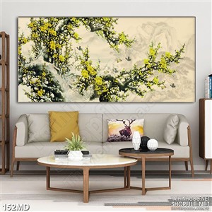 Tranh psd cành mai vàng đón xuân trên núi tuyết