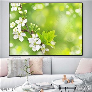 Tranh cành hoa anh đào trắng psd nghệ thuật