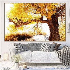 Tranh cây mai già nở rộ in uv