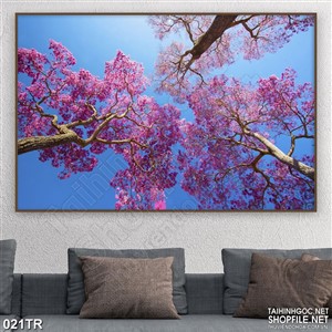 Tranh trần nhà rừng cây tím in canvas