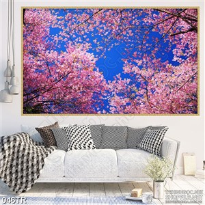 Tranh dán trần rừng anh đào dưới trời xanh in uv