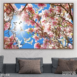 Tranh trần in canvas ánh nắng trên vườn đào