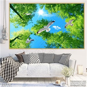 Tranh trần rừng xanh và đàn chim hải âu
