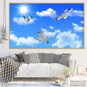 Tranh dán trần ánh mặt trời và đàn hải âu 3d